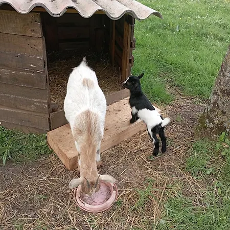 Le Petit Moulin Tournesol B&B Sainte-Soline